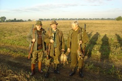 Nowe-044